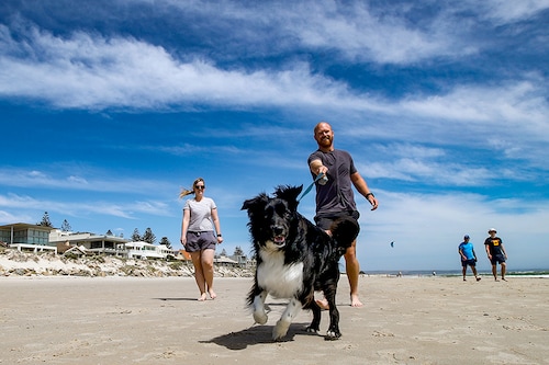 A dog and its owners exercising along Henley beach on November 20, 2020 in Adelaide, Australia. South Australian premier Steven Marshall has eased lockdown restrictions across the state, after initially imposing a strict six day lockdown on Thursday following an outbreak of COVID-19 in the community. Effective today, restrictions have eased to allow people to leave their homes for exercise, and as of midnight on Saturday current stay at home orders will be repealed.