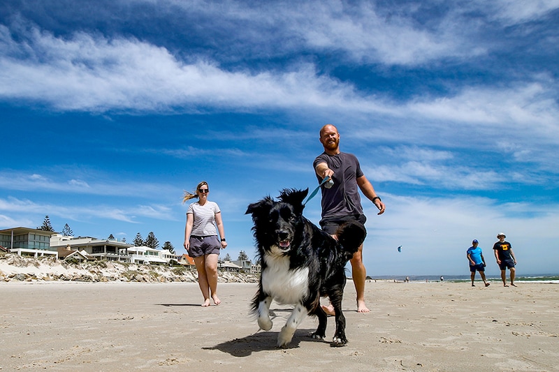 A dog and its owners exercising along Henley beach on November 20, 2020 in Adelaide, Australia. South Australian premier Steven Marshall has eased lockdown restrictions across the state, after initially imposing a strict six day lockdown on Thursday following an outbreak of COVID-19 in the community. Effective today, restrictions have eased to allow people to leave their homes for exercise, and as of midnight on Saturday current stay at home orders will be repealed.