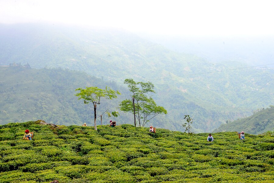 4.teabox-upper namring spring black 3_bg 4.teabox-upper namring spring black 3_bg