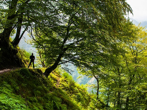 Forbes India Forbes India Image