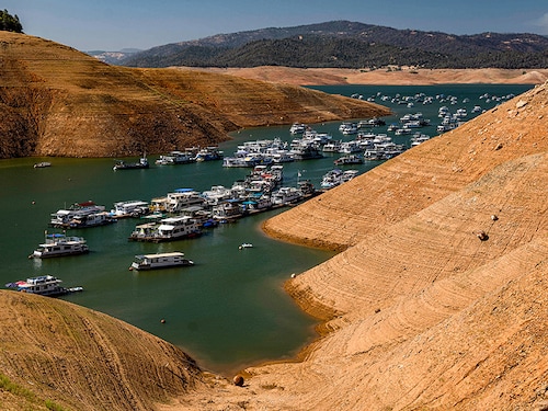 Forbes India Forbes India Image