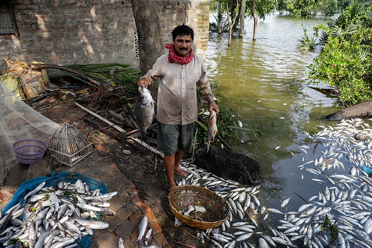 A fisherman shows off dead fish in the village pond, killed due to flooded salt water that entered during Cyclone Yaas, breaking river embankments and flooding villages, in Hamakhali, West Bengal.