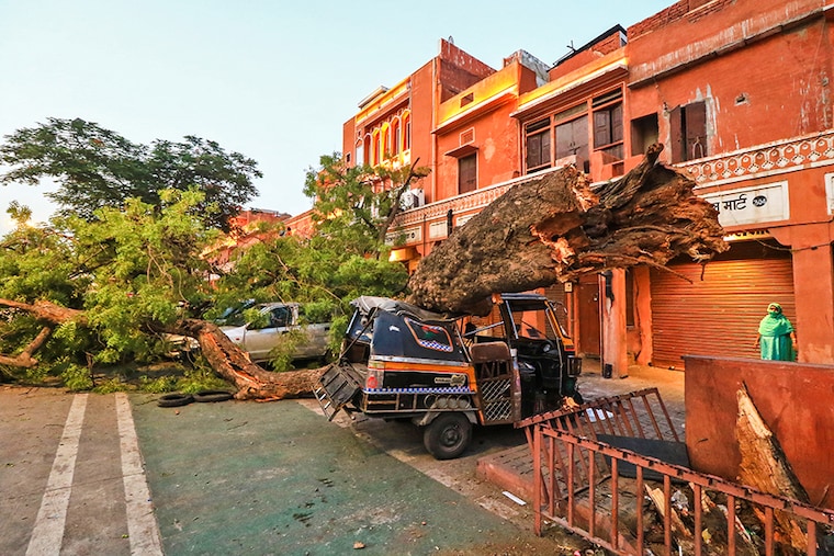 Vehicles damaged under an uprooted tree following a heavy storm at Kishanpole Bazar in Jaipur, Rajasthan, India, Sunday, May 30, 2021.