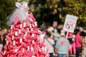 A doll atop a pink "Free Britney" tree is seen as supporters of singer Britney Spears celebrate the termination of her conservatorship, outside the Stanley Mosk Courthouse in Los Angeles, California, U.S. November 12, 2021.