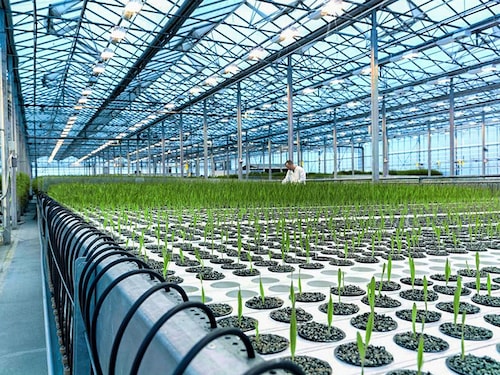 Forbes India Forbes India Image