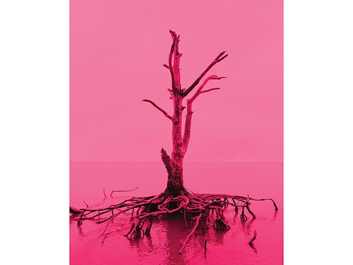 Forbes India Image