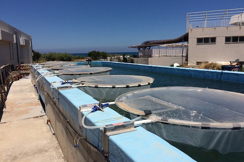 In an undated image provided by Luisa Galgani, Chiara Esposito, Paraskevi Pitta, experimental “mesocosms†created by the researcher Luisa Galgani and her team on the Greek island of Crete, to mimic and observe marine snow. Tiny bits of plastic have infiltrated the deep sea’s main food source and could alter the ocean’s role in one of Earth’s ancient cooling processes, scientists say. (Luisa Galgani, Chiara Esposito, Paraskevi Pitta via The New York Times) In an undated image provided by Luisa Galgani, Chiara Esposito, Paraskevi Pitta, experimental “mesocosms†created by the researcher Luisa Galgani and her team on the Greek island of Crete, to mimic and observe marine snow. Tiny bits of plastic have infiltrated the deep sea’s main food source and could alter the ocean’s role in one of Earth’s ancient cooling processes, scientists say. (Luisa Galgani, Chiara Esposito, Paraskevi Pitta via The New York Times)