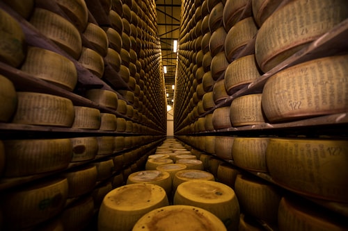 Can the digital tracing of Parmigiano Reggiano wheels put an end to counterfeiting?
Image: D-VISIONS / Shutterstock