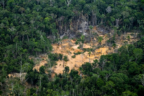 An aerial view of a deforested area of the Amazonia rainforest in Porto Velho, Rondonia state, Brazil, on September 15, 2021. The Amazon basin has, until recently, absorbed large amounts of humankind"s ballooning carbon emissions, helping stave off the nightmare of unchecked climate change. Image: Mauro Pimentel/AFP