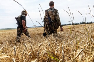 Soldiers from the 93rd Brigade of the Ukrainian Army on patrol in an unharvested wheat field near Barvinkove on Aug. 1, 2022. Ukrainian farmers face many of the same grave dangers as soldiers. (David Guttenfelder/The New York Times)