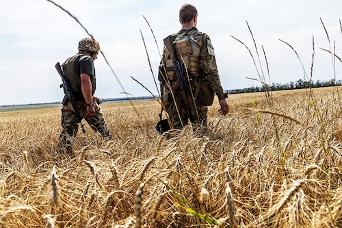 Soldiers from the 93rd Brigade of the Ukrainian Army on patrol in an unharvested wheat field near Barvinkove on Aug. 1, 2022. Ukrainian farmers face many of the same grave dangers as soldiers. (David Guttenfelder/The New York Times)
