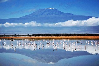 Tanzania has installed high-speed internet services on the slopes of Mount Kilimanjaro, allowing anyone with a smartphone to tweet, Instagram or WhatsApp their ascent of Africa"s highest mountain.
Image:Tanya Willmer / AFP