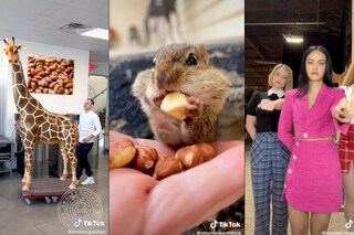 Chef Amaury Guichon, @chipmunksoftiktok and the three "Riverdale" stars claim TikTok"s top videos of 2022.
Image: amauryguichon, chipmunksoftiktok, blondebrunetteredhead / TikTok