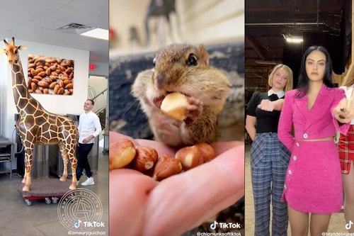 Chef Amaury Guichon, @chipmunksoftiktok and the three "Riverdale" stars claim TikTok"s top videos of 2022.
Image: amauryguichon, chipmunksoftiktok, blondebrunetteredhead / TikTok Chef Amaury Guichon, @chipmunksoftiktok and the three "Riverdale" stars claim TikTok"s top videos of 2022.
Image: amauryguichon, chipmunksoftiktok, blondebrunetteredhead / TikTok
