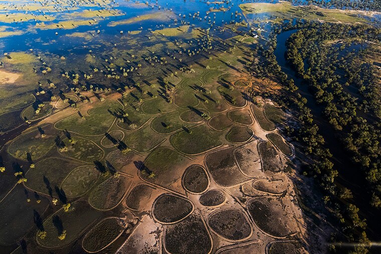 An aerial view of ponding on a property surrounded by water between Louth and Tilpa on December 09, 2022 in Tilpa, Australia. Rainfall over recent weeks and months has caused prolonged flooding in the Barwon-Darling River System and its tributaries, a release from the Bureau of Metrology said, and the consequences of unseasonally high rainfall are still being felt right through Western NSW even though rains have eased recently. Flooding in vast swathes of the Western Plains has turned properties into islands, still cut off from road access. River levels higher than the 1998 flood level occurred at many flood-hit communities across the state in the recent spell of wet weather, including at Louth and Tilpa, west of Bourke.