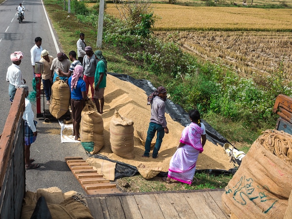 For farmers to use appropriate production and harvesting techniques, the government will also provide a package with participation from state governments. Image: Shutterstock