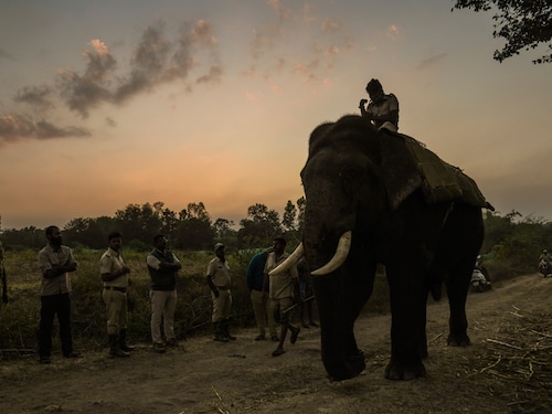 Forbes India Image