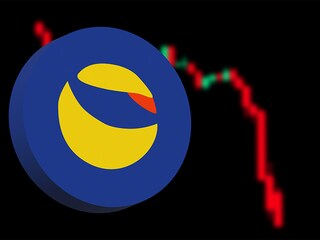 Asian Paints’ formidable distribution network means that dealers have to wait no more than four hours from the time they order the paint to getting it delivered in their stores.
Image: Dhiraj Singh/Bloomberg via Getty Images