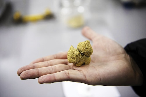 Food engineer Roberto Lemus shows a sample of a candy for children made with cochayuyo seaweed and rice flour, at the lab of Chile"s University in Santiago.
Image: Martin Bernetti / AFP