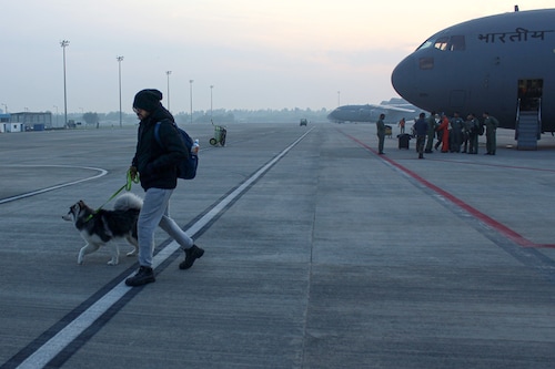 An Indian student disembarks with his pet husky, arriving on an Indian Air Force C-17 Globemaster at the Hindon Air Base in Ghaziabad, India on March 3, 2022.