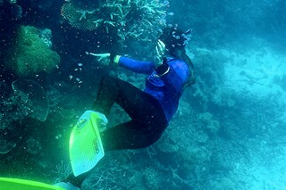 This picture taken on March 7, 2022 shows a diver pointing out at coral on the Great Barrier Reef, off the coast of the Australian state of Queensland. The Great Barrier Reef has again been hit with "widespread" bleaching, authorities said on March 18, 2022. (Credits: Glenn NICHOLLS / AFP)