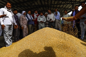 Buyers check the quality of wheat at a wholesale grain market in New Delhi, India on May 17, 2022. The Union Ministry of Commerce and Industry announced some relaxation over its wheat export ban amidst continued inflationary pressure. Wheat prices have been rising internationally fuelled by the Russia-Ukraine war.