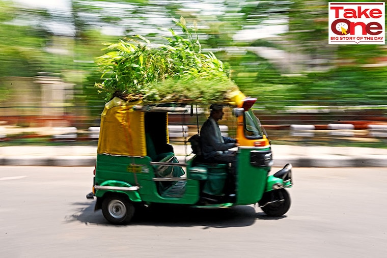 Autorickshaw driver Mahender Kumar drives his vehicle with a "garden" on its roof, in New Delhi on May 2, 2022. Yellow and green autorickshaws are ubiquitous on New Delhi"s roads but Mahendra Kumar"s vehicle stands out—it has a garden on its roof aimed at keeping passengers cool during the searing summer season. Image:&nbspMoney Sharma/ AFP