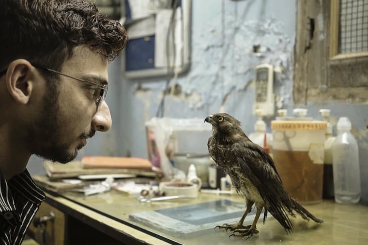 A still from Shaunak Sen"s environmentally sensitive documentary "All that Breathes", which won the prestigious The Golden Eye at the Cannes Film Festival in France on May 28, 2022. The film maps the lives of two brothers Saud and Nadeem, who have devoted their lives to rescuing and treating the black kite in their rundown basement in Delhi"s Wazirabad while grappling with the city"s ongoing environmental and political changes.