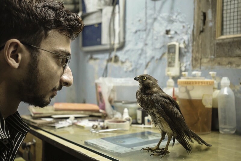 A still from Shaunak Sen"s environmentally sensitive documentary "All that Breathes", which won the prestigious The Golden Eye at the Cannes Film Festival in France on May 28, 2022. The film maps the lives of two brothers Saud and Nadeem, who have devoted their lives to rescuing and treating the black kite in their rundown basement in Delhi"s Wazirabad while grappling with the city"s ongoing environmental and political changes.