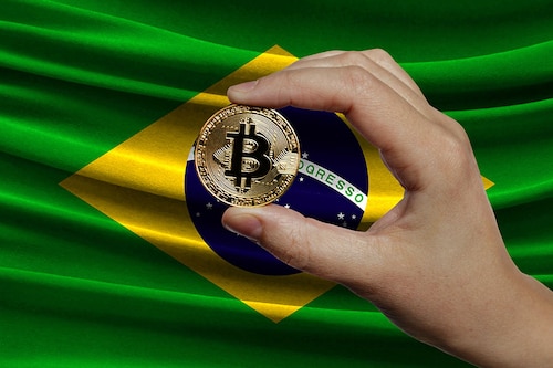 Image: Shutterstock Image: Shutterstock