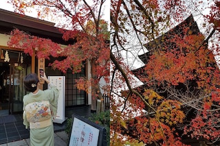 Hunting for autumn colors is a centuries old tradition in Japan and is called "momijigari".
Image: BÃ©rangÃ¨re Chatelain / ETX StudioÂ©