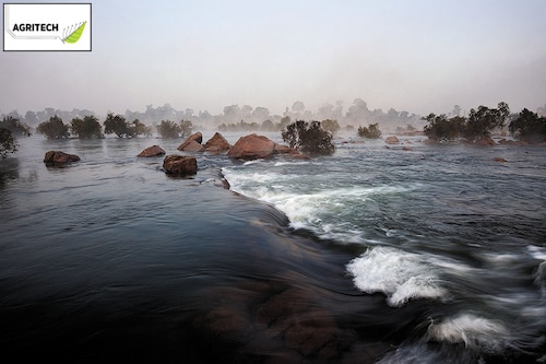 In 2021, heavy rainfall, flooding of rivers and overflowing dams killed 24 in Madhya Pradesh. In 2022, in another part of the state, drought reduced the production of rice crops to 10 million tonnes lesser than what it was the year before
Image: Chris L Jones / Dindia