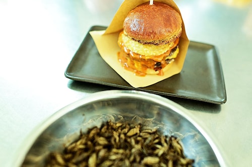 A plate of "Cricket-burger" and crickets at a restaurant in Bangkok.
Image: Manan Vatsyayana / AFP