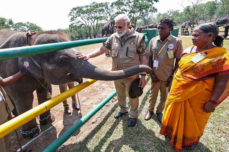 This handout photograph taken on April 9, 2023, and released by the Indian Press Information Bureau (PIB) shows India"s Prime Minister Narendra Modi (C) caressing an elephant beside Bomman (2R) and Bellie who starred in the Oscar-winning documentary The Elephant Whisperers in Nilgiri Theppakadu Elephant camp during his visit to Mudumalai Tiger Reserves, in Karnataka state.