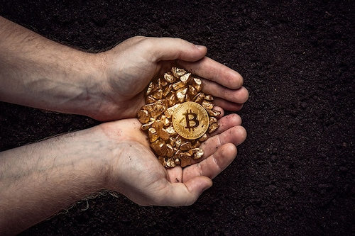 Image: Shutterstock