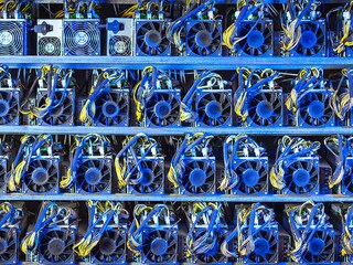 Swetha Totapally, regional director, APAC, Dalberg Advisors
Image: Swapnil Sakhare for Forbes India