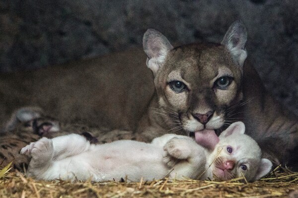 Maynor Valenzuela/ Reuters