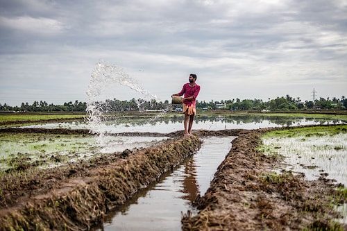 The uneven distribution of rainfall continued, with southern regions going further into deficit and the eastern region’s large deficiency persisting
Image: Getty Images The uneven distribution of rainfall continued, with southern regions going further into deficit and the eastern region’s large deficiency persisting
Image: Getty Images