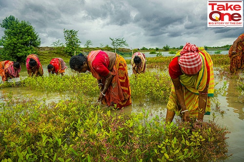 Delay in the sowing of kharif crops, which reduced the demand for farm labour. Besides, the withdrawal of some pandemic sops squeezed spending and rural wages remained flattish.
Image: Avijit Ghosh/SOPA Images/LightRocket via Getty Images Delay in the sowing of kharif crops, which reduced the demand for farm labour. Besides, the withdrawal of some pandemic sops squeezed spending and rural wages remained flattish.
Image: Avijit Ghosh/SOPA Images/LightRocket via Getty Images