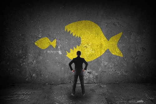ETA is one of the fastest-growing paths to entrepreneurship, with especially favorable current circumstances for those who’d consider it.
Image: Shutterstock ETA is one of the fastest-growing paths to entrepreneurship, with especially favorable current circumstances for those who’d consider it.
Image: Shutterstock