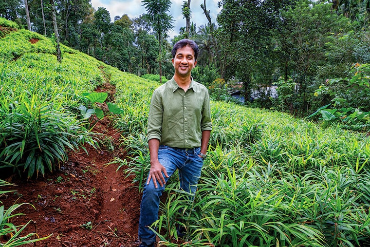 PC Musthafa, co-founder and CEO, iD Fresh Food, at one of the ginger farms where his father and he worked in Chennalode village, Wayanad, Kerala
Image: Arun Chandrabose for Forbes India