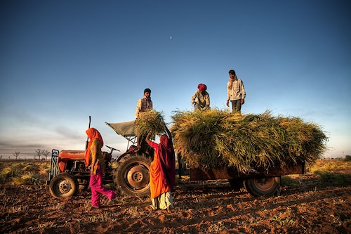 One of the major challenges that the agriculture sector in India faces is that of lack of storage capacity. In order to fix this, the finance minister has announced plans to set up massive decentralised storage capacity Image: Shutterstock One of the major challenges that the agriculture sector in India faces is that of lack of storage capacity. In order to fix this, the finance minister has announced plans to set up massive decentralised storage capacity Image: Shutterstock