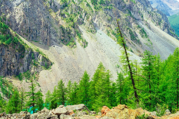 In the mountain ranges of North America, vegetation may be more adaptable to climate variations than previously thought, suggests a new study.
Image: Shutterstock