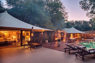 SUJÃN, Sher Bagh, Ranathambore.