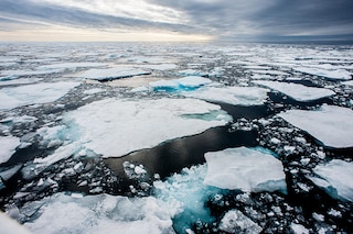 NASA has issued a sinking prediction that by the mid-2030s, all coastal cities in the United States will witness high-tide flooding
Image: Shutterstock