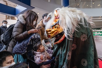 YOKOHAMA, JAPAN - 2/01/2023: Shishi-mai lion dancer performs his dance to celebrate the new year and to bring good luck and fortune to visitors of a shopping mall in Yokohama. The Shishi-Mai Lion Dance is a celebratory dance to welcome the new year and brings good luck and fortune to the people according to many Asian cultures. Parents let the lion symbolically bite their children to scare away evil spirits.