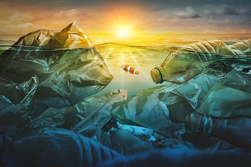 About 79% of the plastic waste generated by this production ends up in landfills or the environment. Only 9% is ever recycled and only one-tenth of that amount has been recycled more than once over the last 50 years
Image: Shutterstock About 79% of the plastic waste generated by this production ends up in landfills or the environment. Only 9% is ever recycled and only one-tenth of that amount has been recycled more than once over the last 50 years
Image: Shutterstock