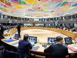 The presence of a pet motivates a child to want to interact with it, which promotes motor, cognitive and prosocial development.
Image: Shutterstock