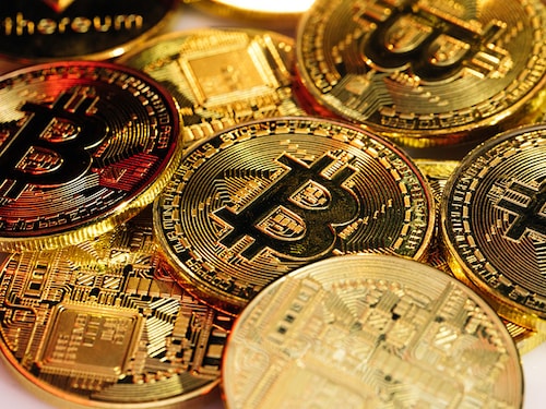 The presence of a pet motivates a child to want to interact with it, which promotes motor, cognitive and prosocial development.
Image: Shutterstock