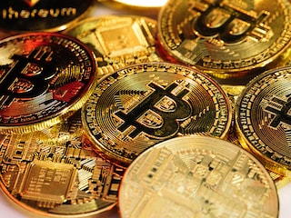 The presence of a pet motivates a child to want to interact with it, which promotes motor, cognitive and prosocial development.
Image: Shutterstock